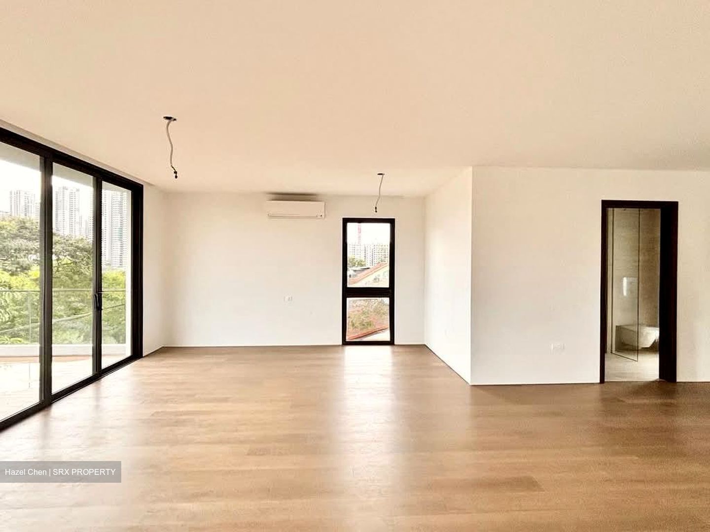 Henry Park (D10), Detached #534365811